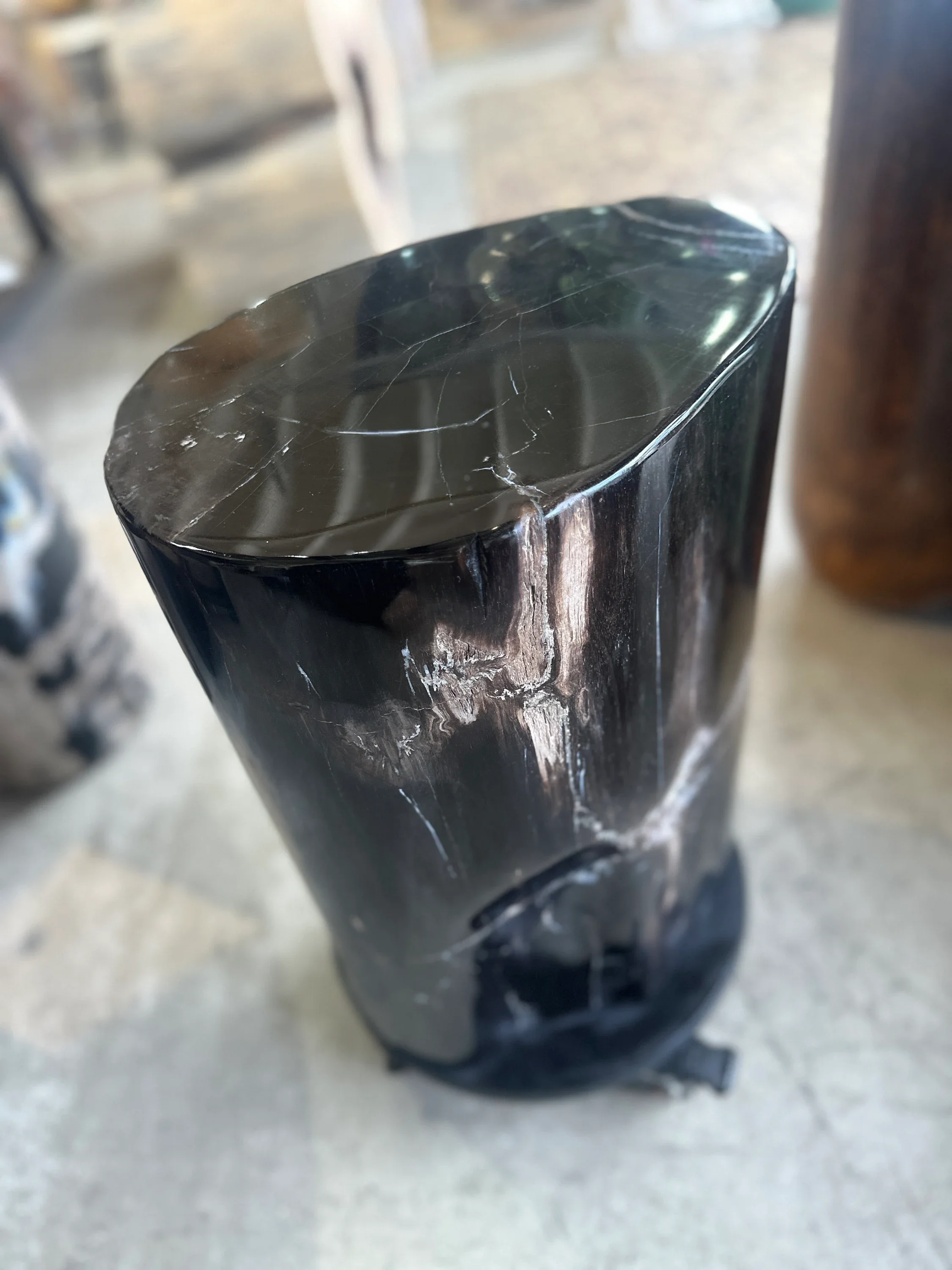 Black Petrified Stump - 18” Tall