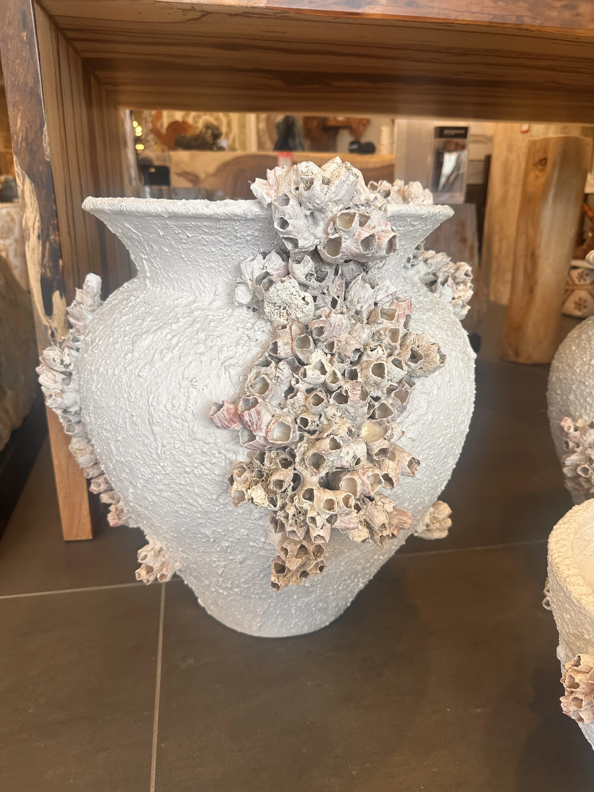20 inch tall and wide barnacle pot.JPG