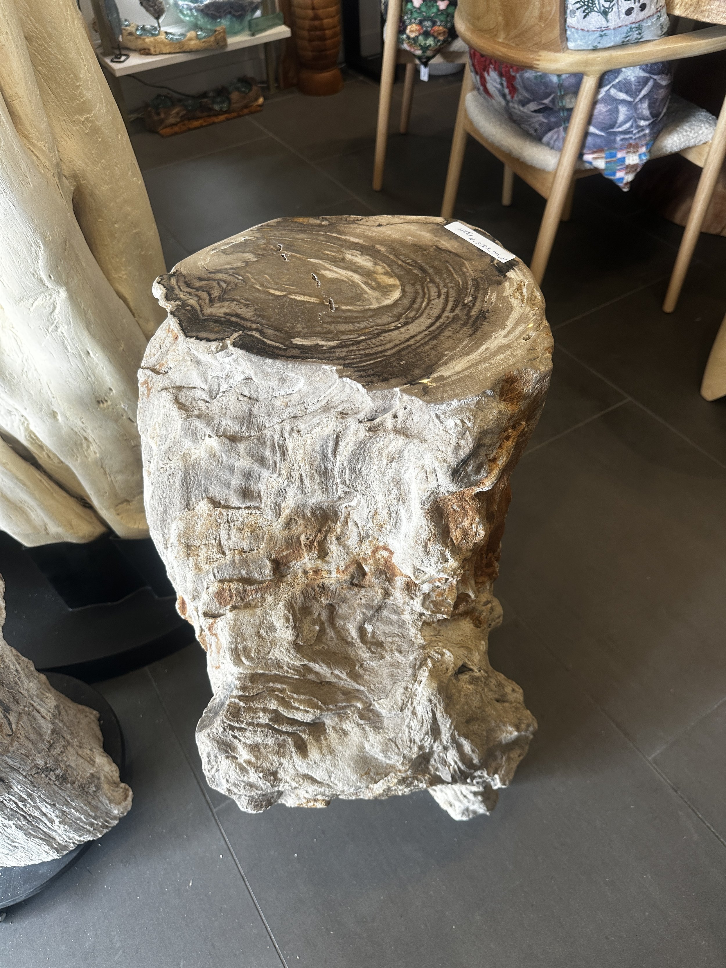 Organic Petrified pedestal.JPG