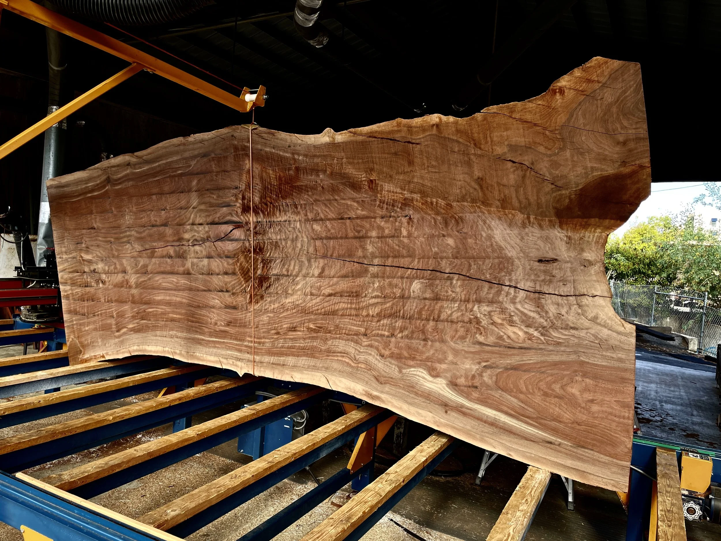 15-foot Claro Walnut live edge slab in Indigenous by La Rue workshop in San Diego for a custom oversized dining or conference table