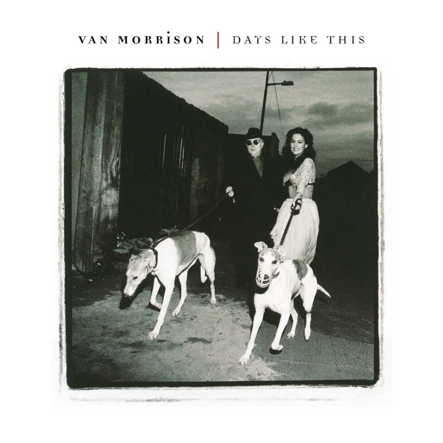 Morrison “The Album Covers” — Past Prime