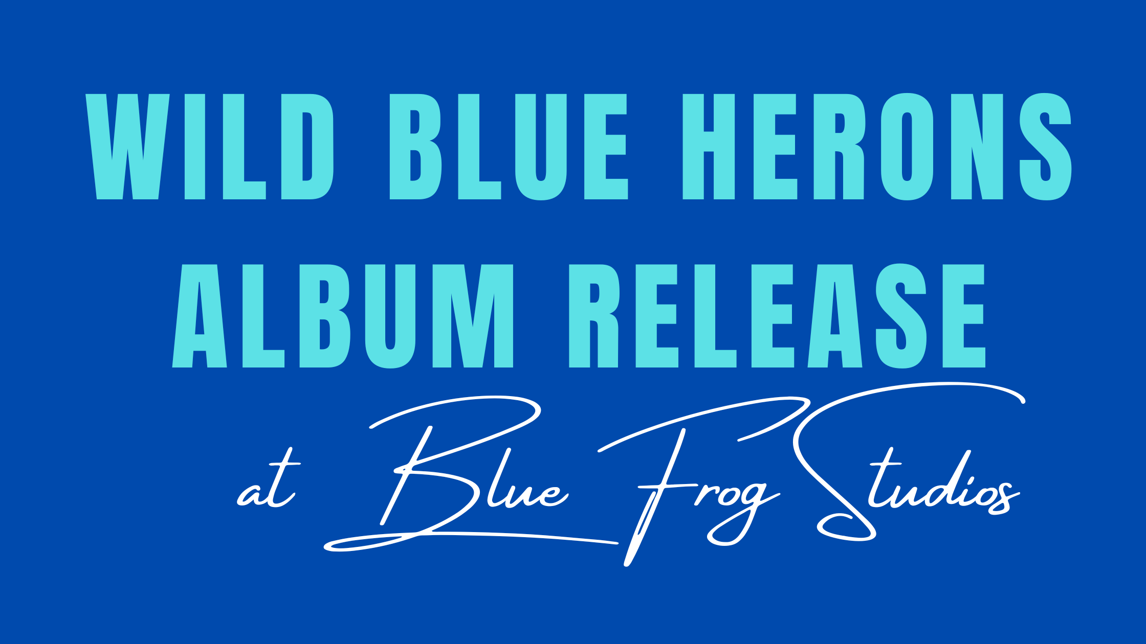 Wild Blue Herons Album Release Concert at Blue Frog Studios