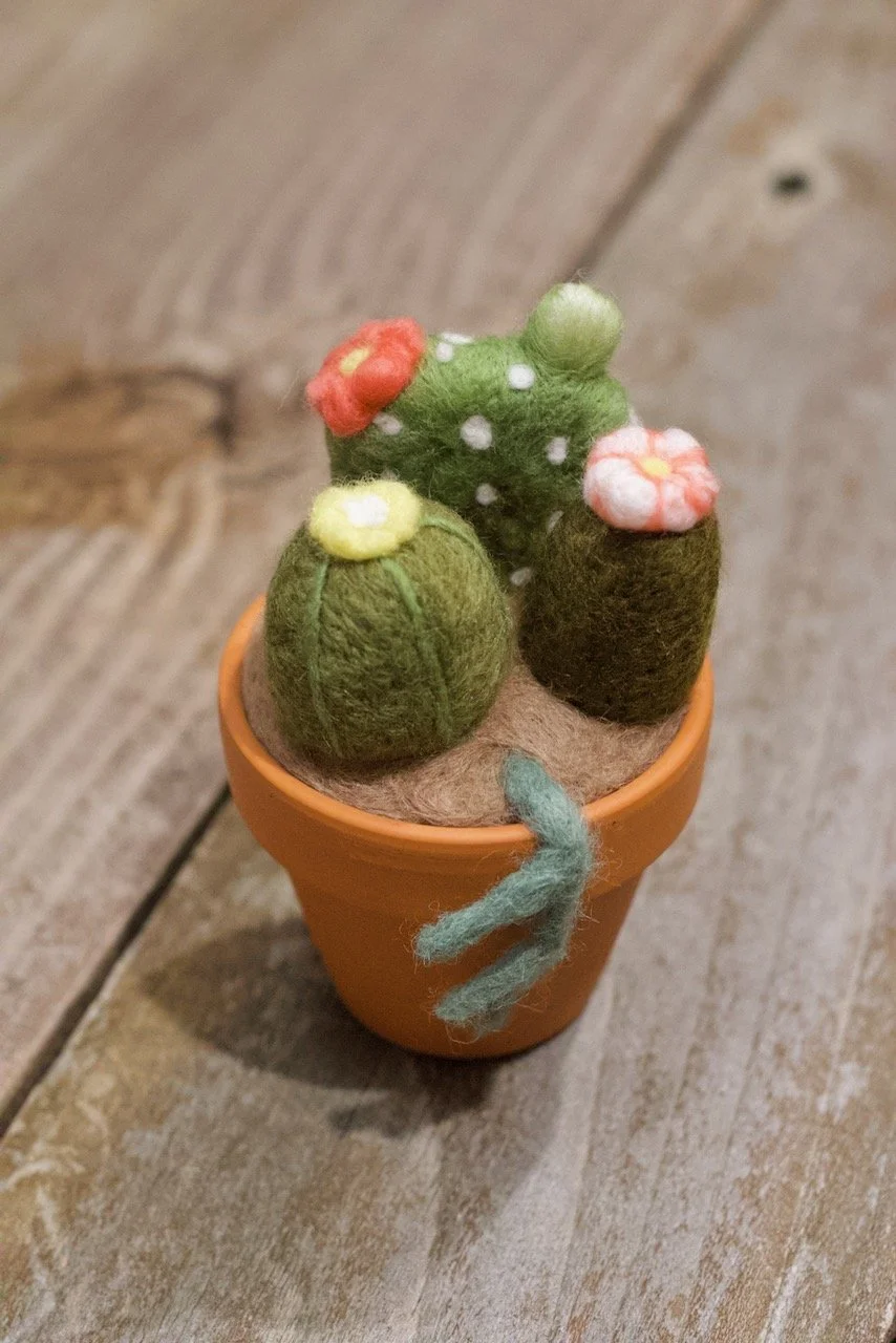 Needle Felting Class - Cacti Planters