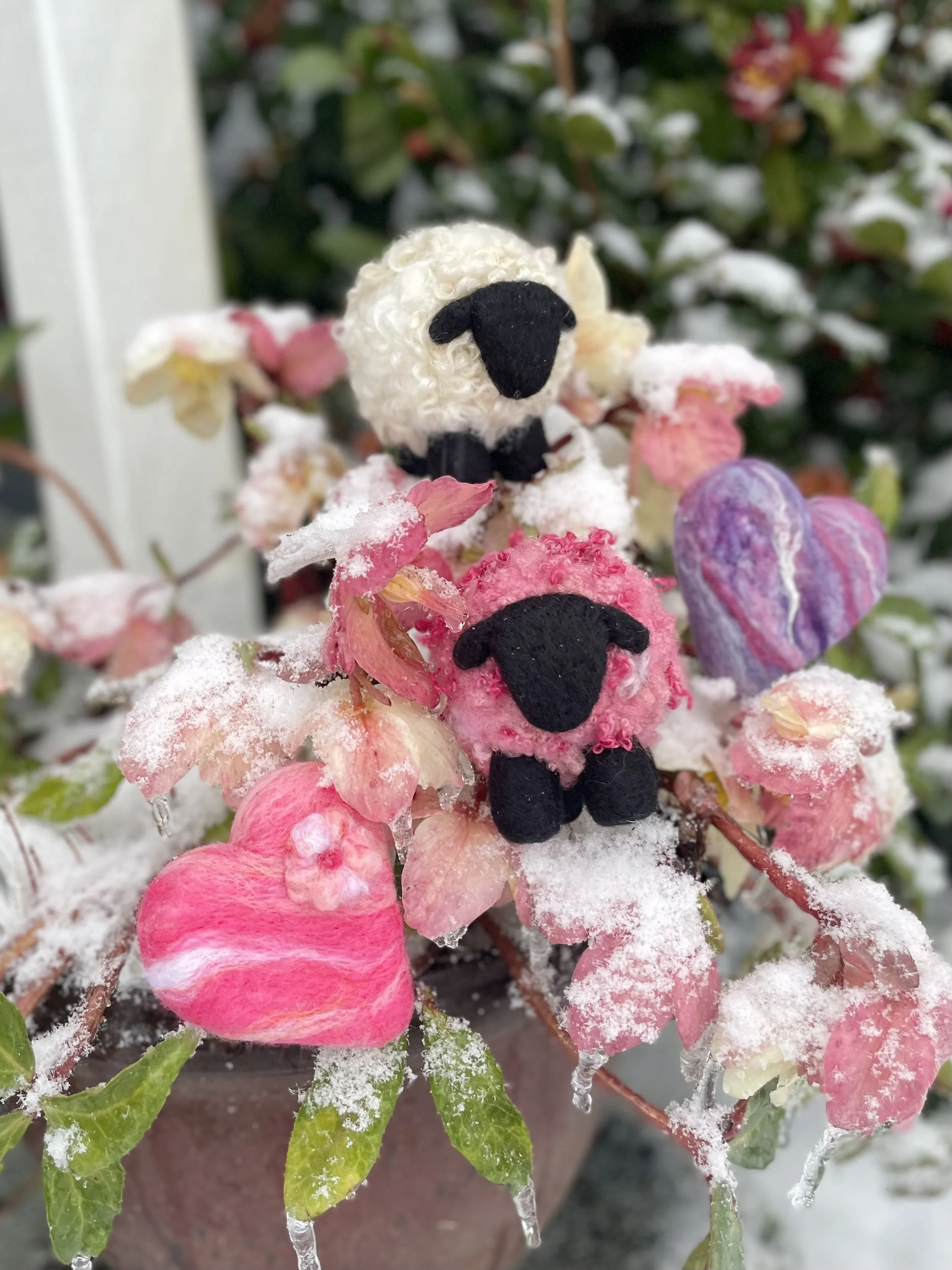 Love Ewe Online Shop Update