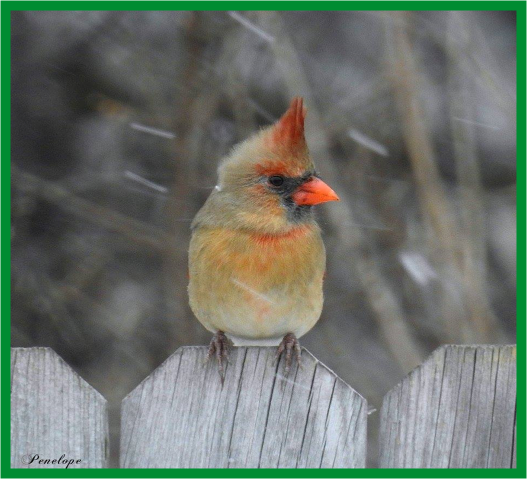 Starting the Conversation About Estate Planning