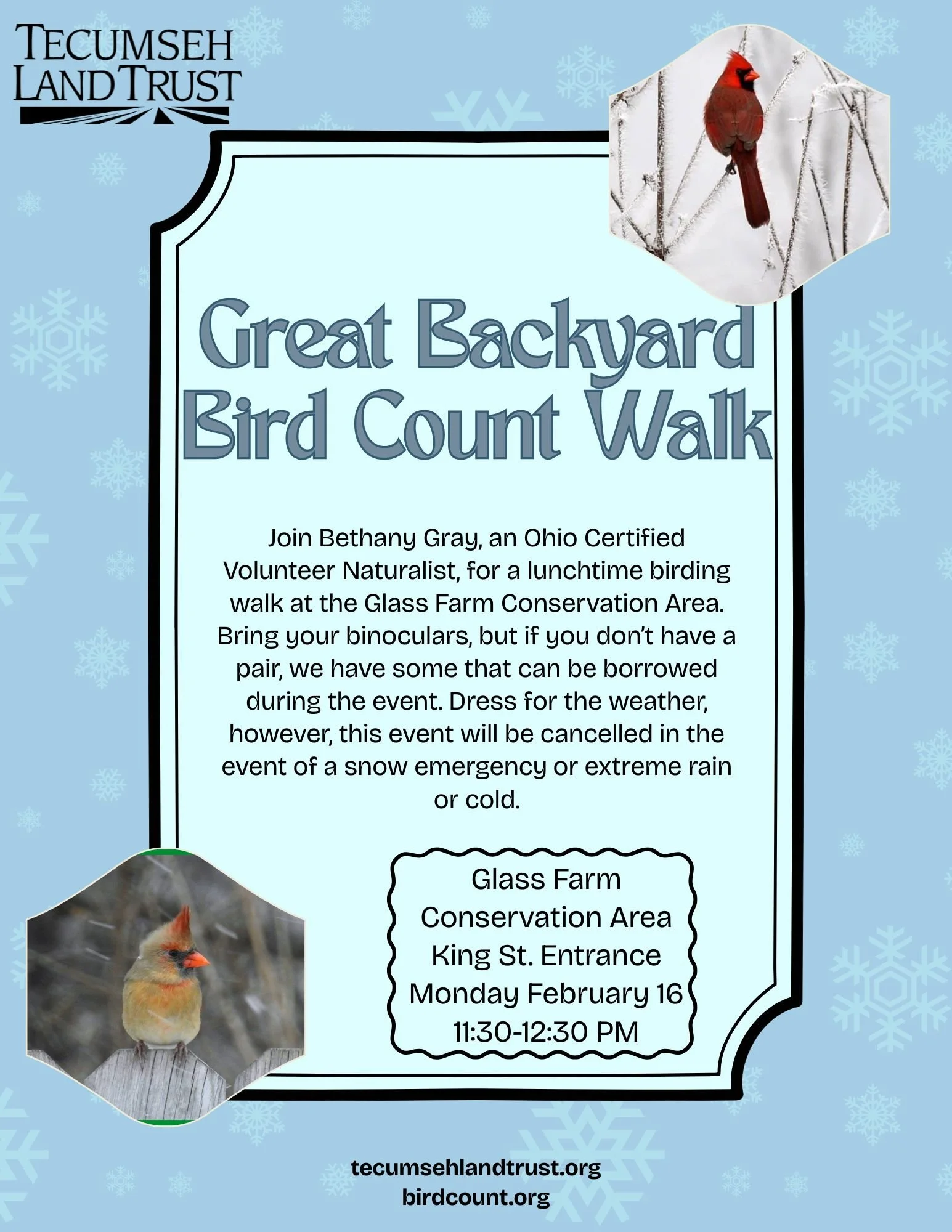 Great Backyard Bird Count Walk