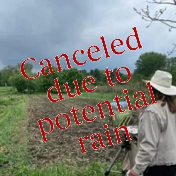 Canceled - Plein Air Paint Out