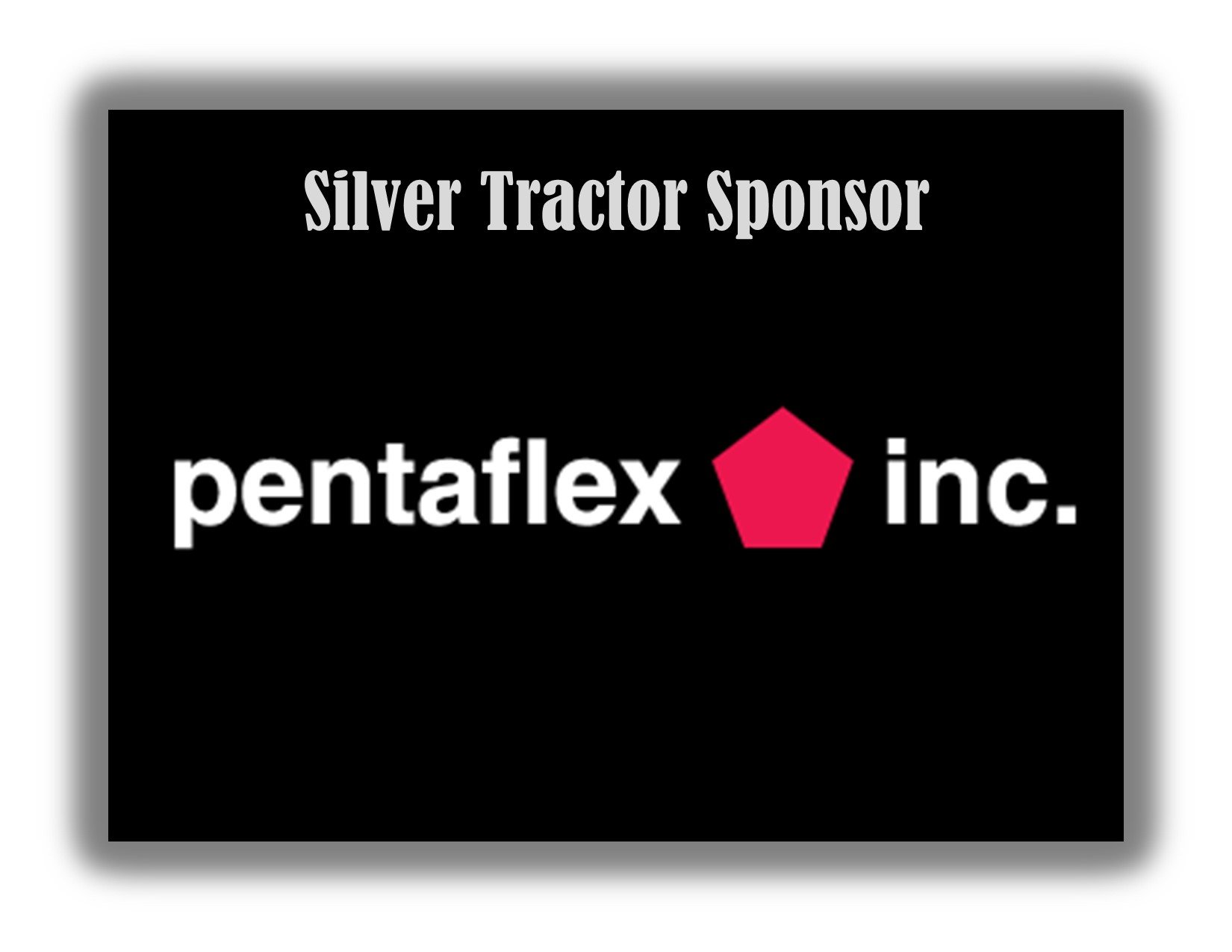 pentaflex silver.jpg