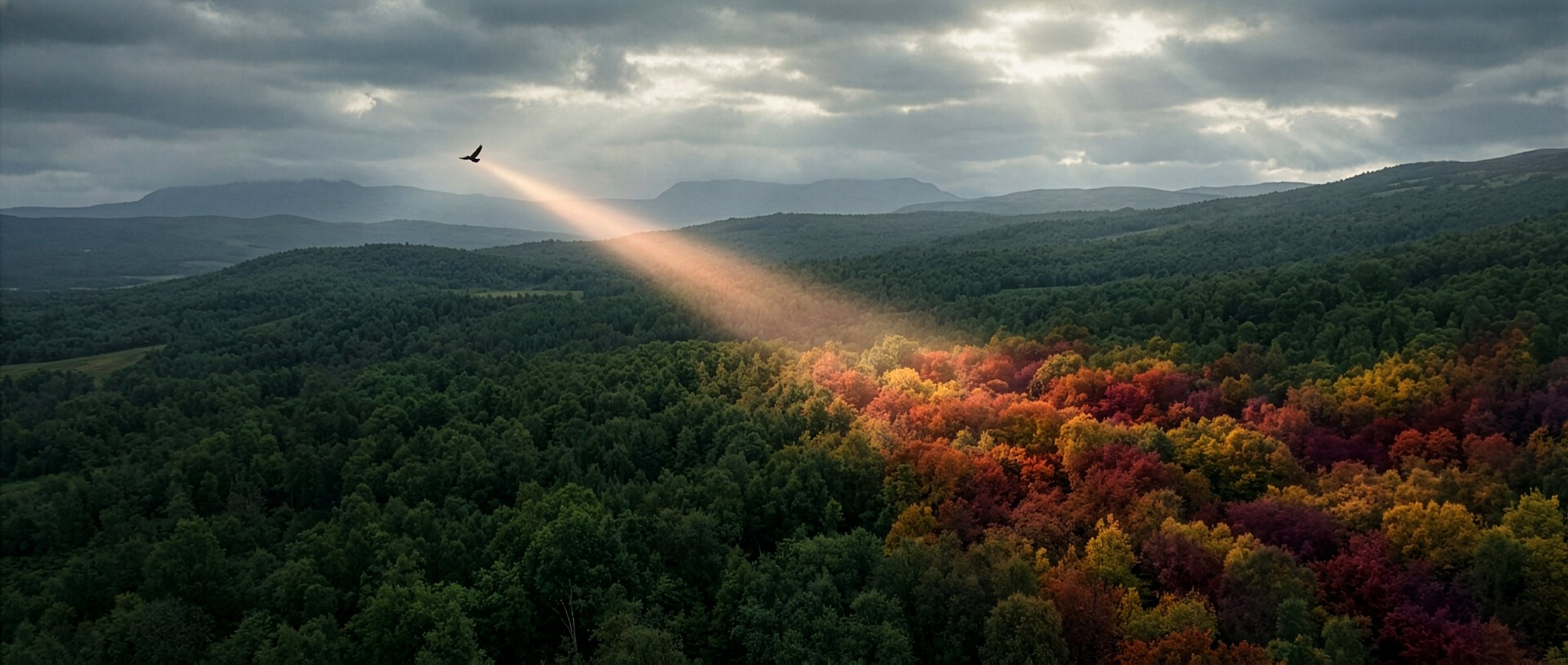 A.I. scenic view of a forested landscape with rolling hills and mountains in the background. A bird flies in the cloudy sky, and a beam of sunlight highlights the colorful autumn trees in the foreground.