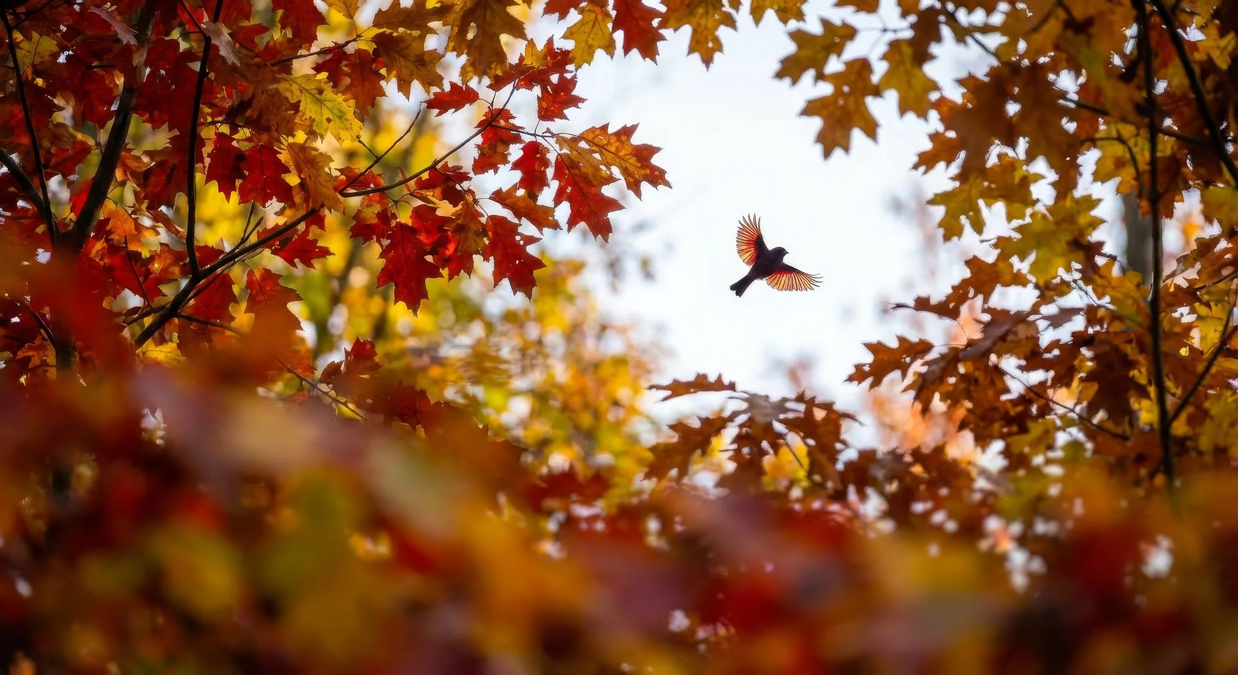 A.I. bird flying among autumn-colored leaves on trees, with a bright sky in the background.
