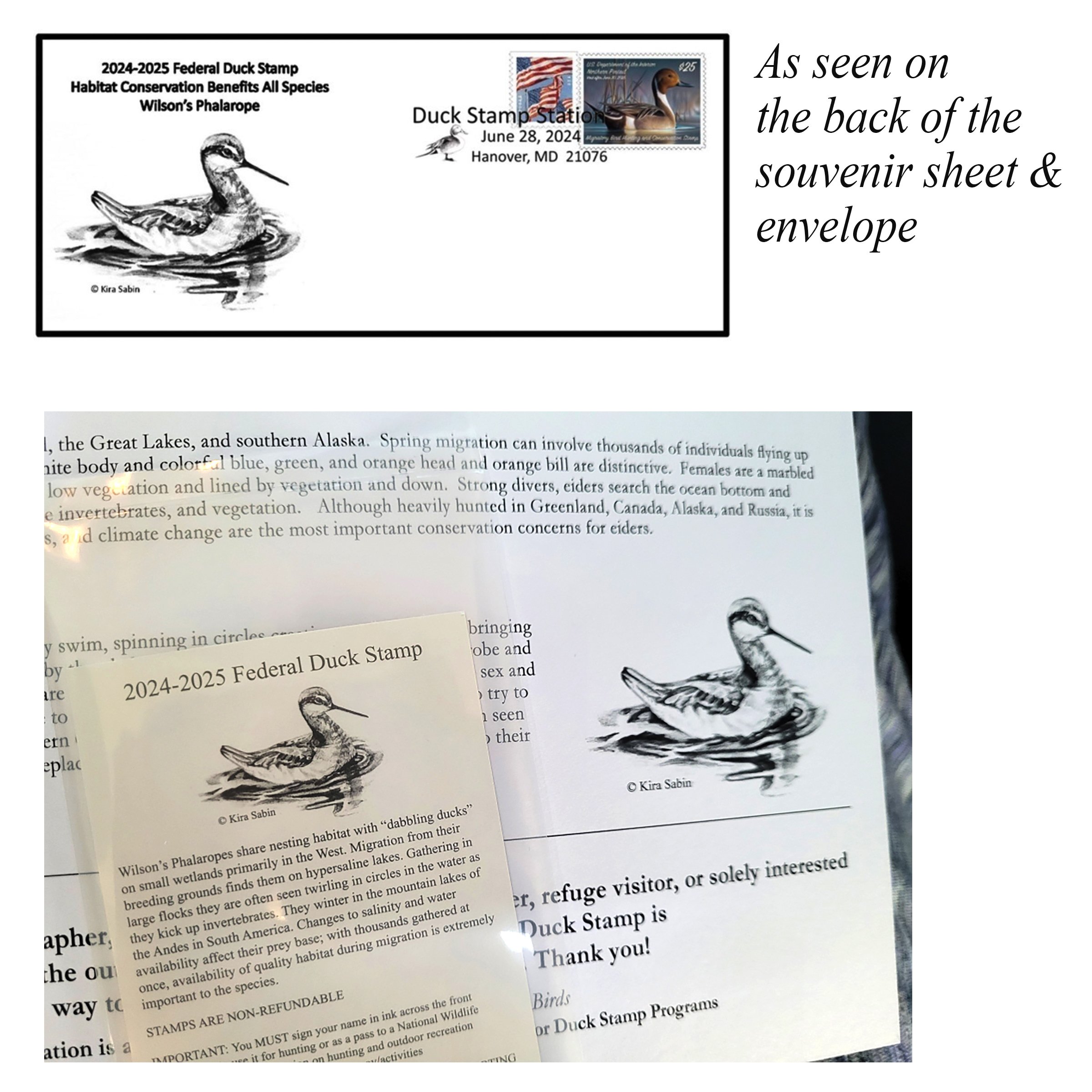Federal Duck Stamp — Kira Sabin