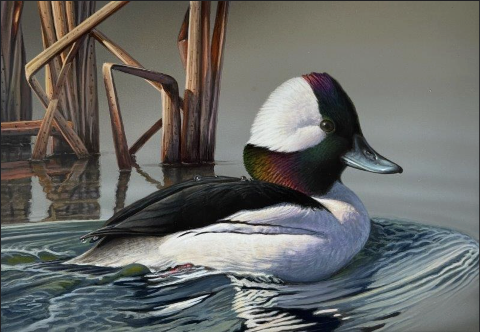3rd Place: Entry #268 - Jeffery Mobley from Oklahoma - Bufflehead - Acrylic