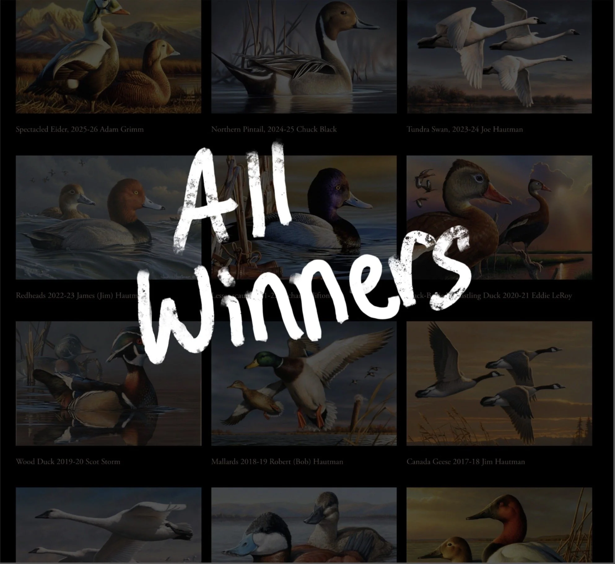 Every Federal Duck Stamp Winner (in order!)