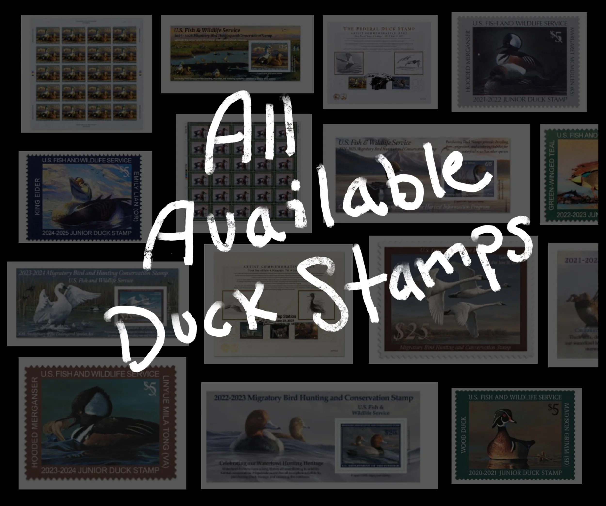 Shop The Most Recent Available Duck Stamps! (USPS)