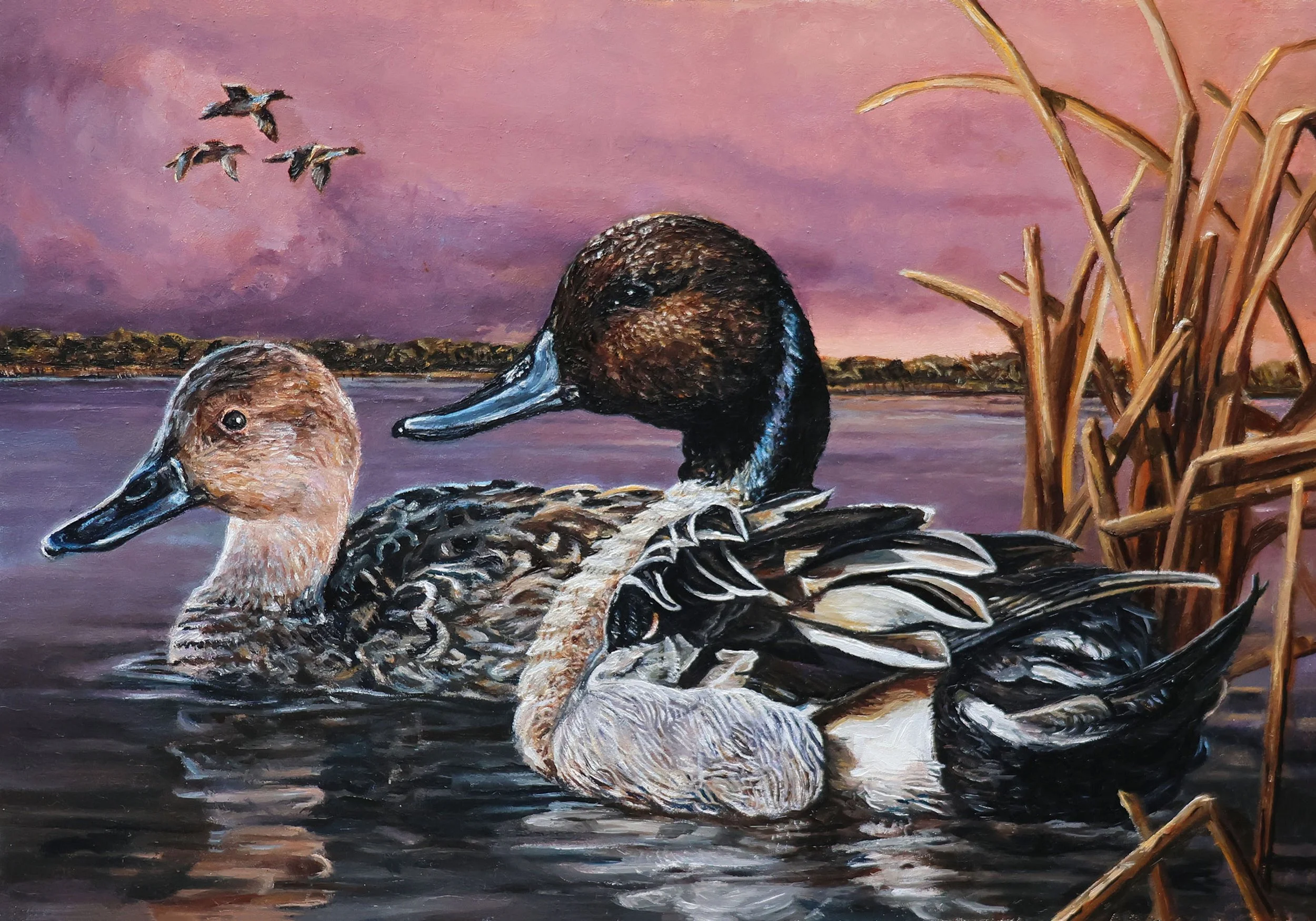 Duck Stamp Resources Work duck-stamp-resources-work