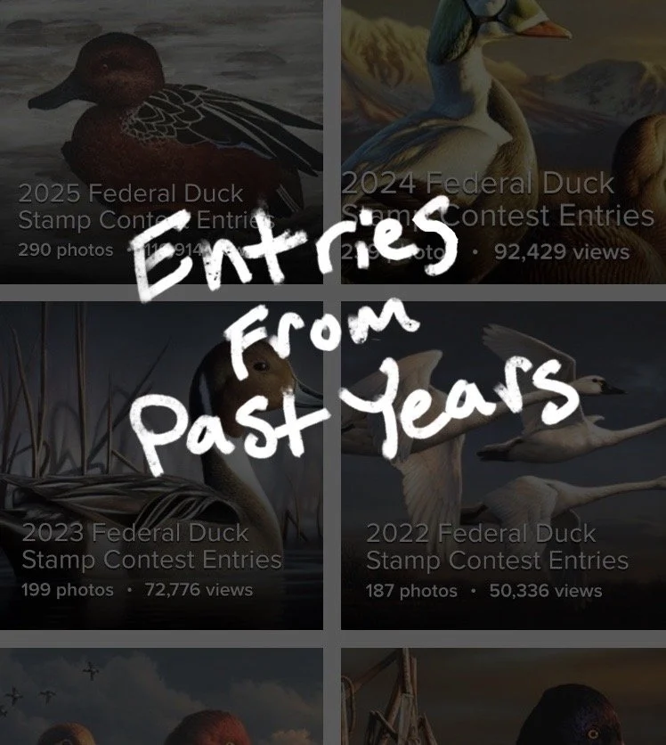 Federal Entries From Previous Years