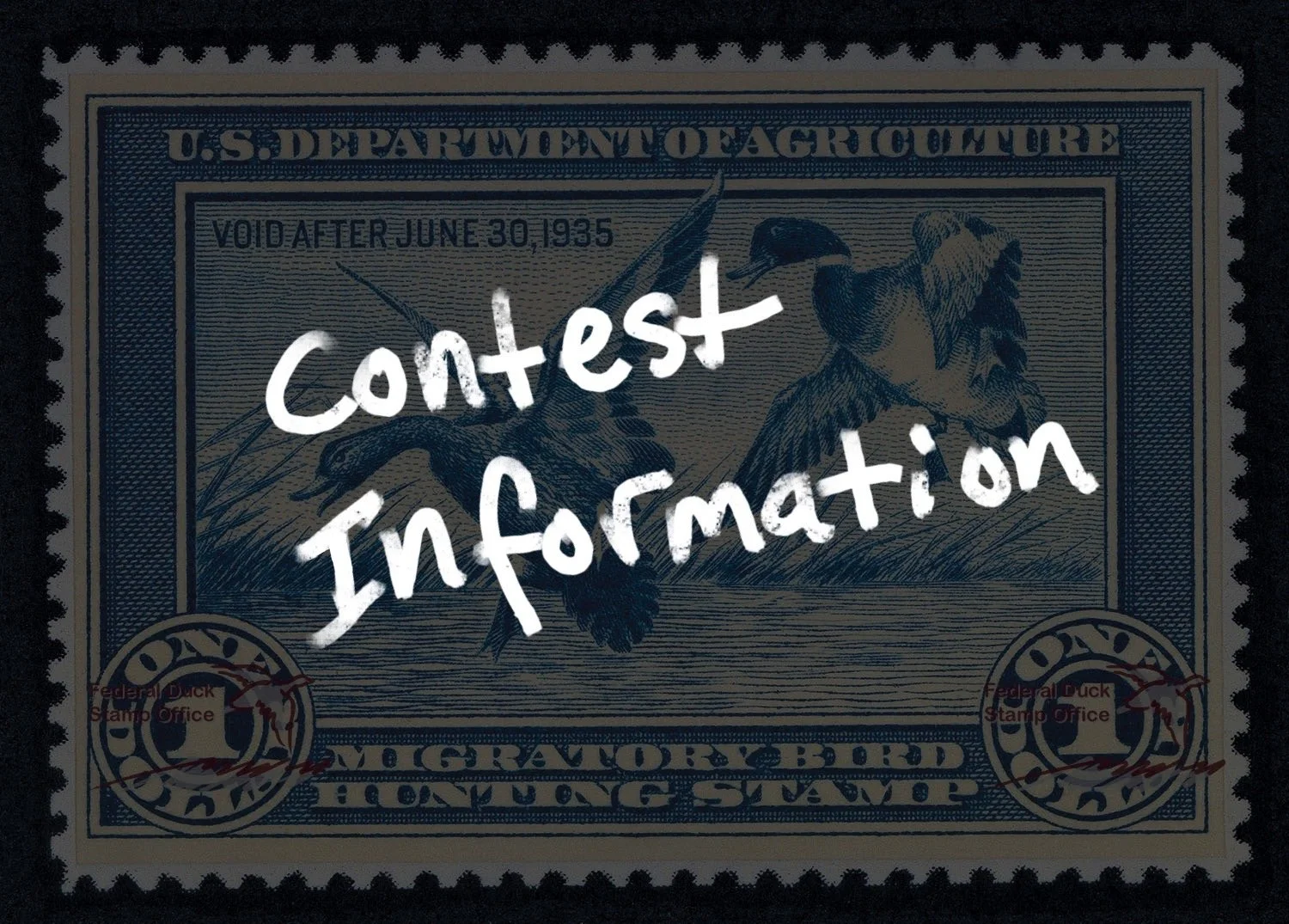 Federal Contest Information - Find Links To Contest Rules, Tips, & More!