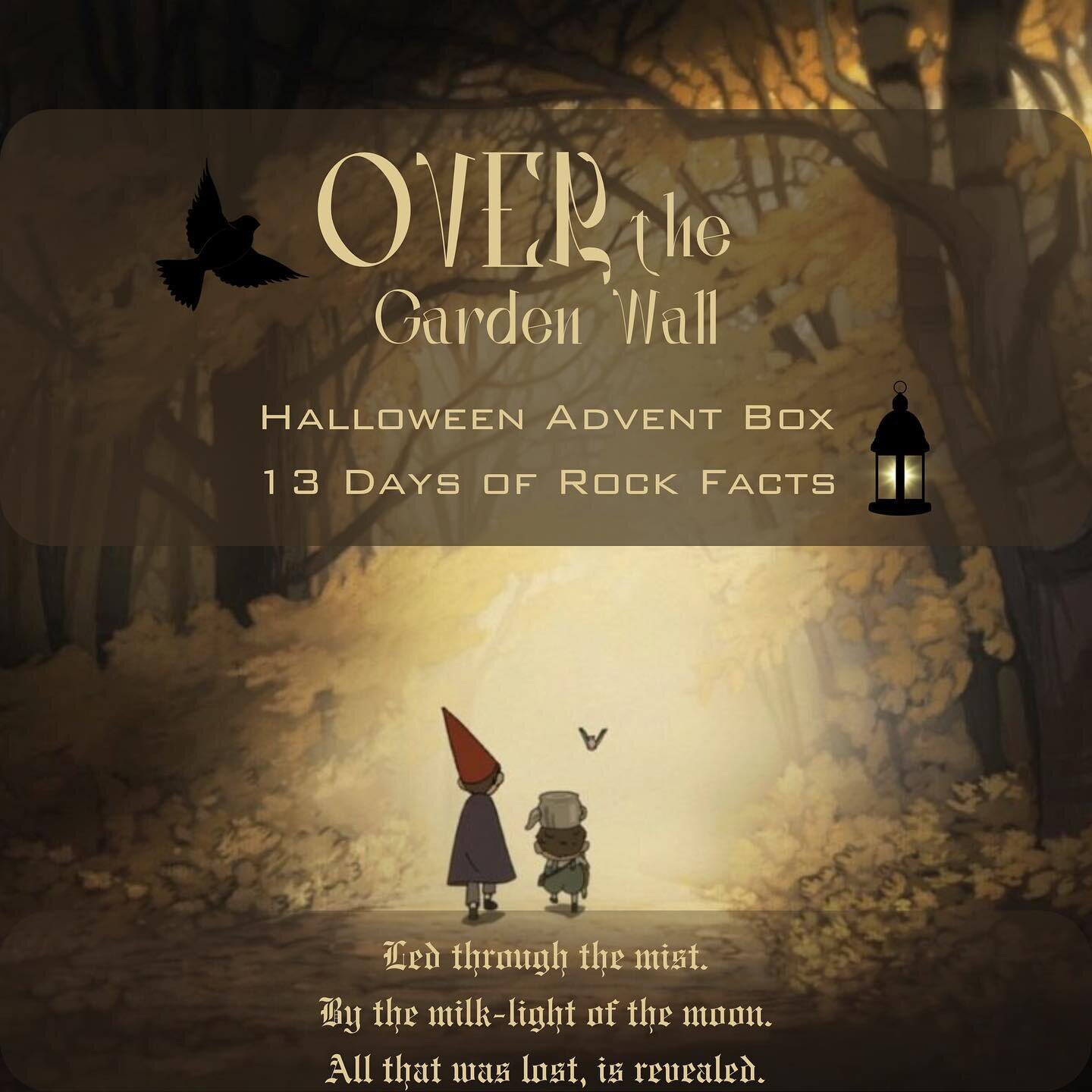 Over the Garden Wall | A 13 Day Halloween Advent Box!

Advent season is upon us and I have three this year that are now available for pre-order on two of my bases: Merino Fingering or 80/20 Sock (20g minis).

The Over the Garden Wall Halloween Advent