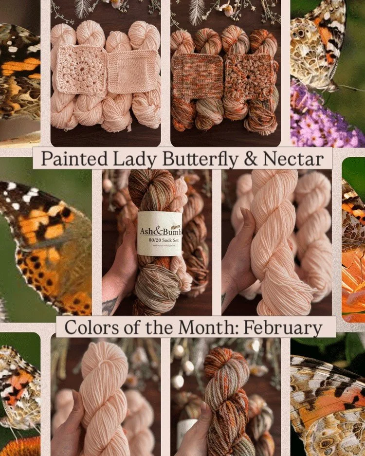 Hey guys! February&rsquo;s (even though it&rsquo;s now March 🙃) Colors of the Month | Painted Lady Butterfly &amp; Nectar | are now available for dyed to order! 

I am very much looking forward to what March has in store for me because February real