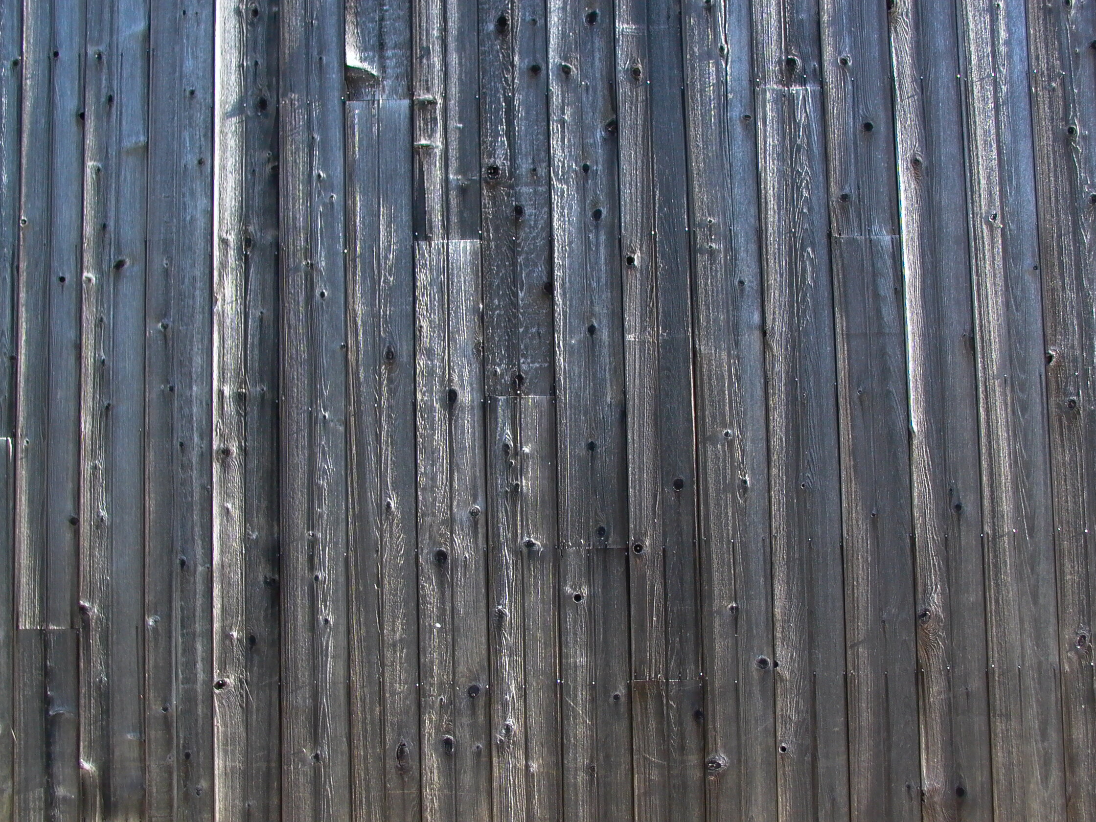L1000180.JPG