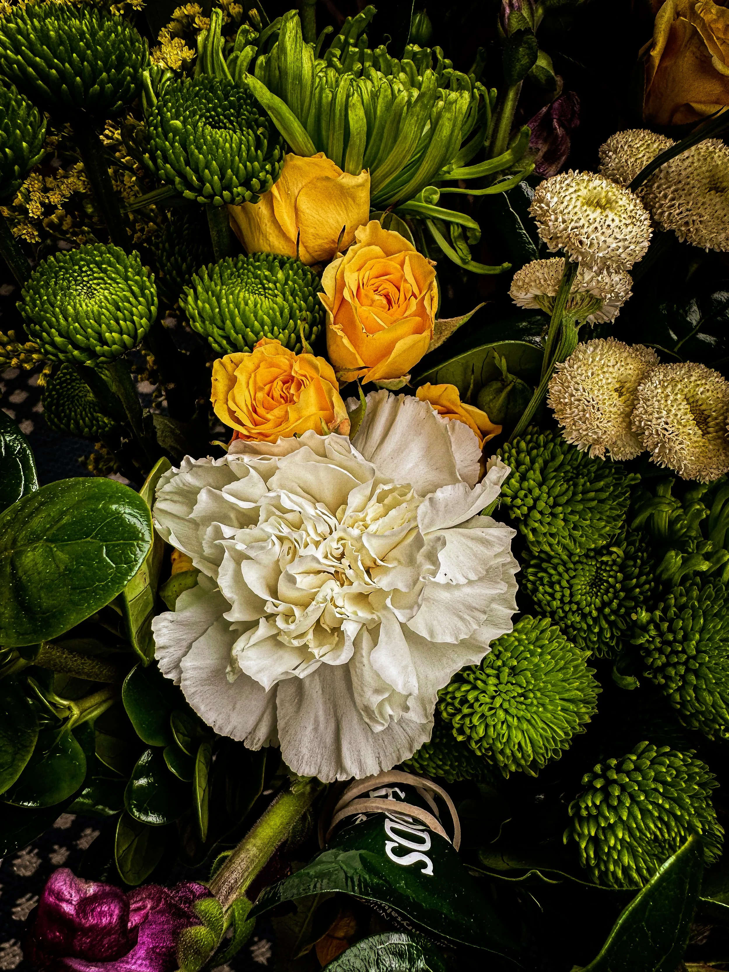 IMG_7042.JPG