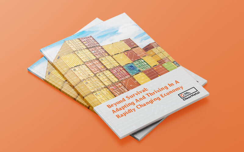 beyond-survival-whitepaper.jpg