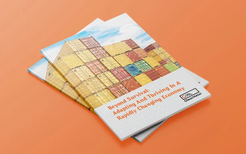 beyond-survival-whitepaper.jpg