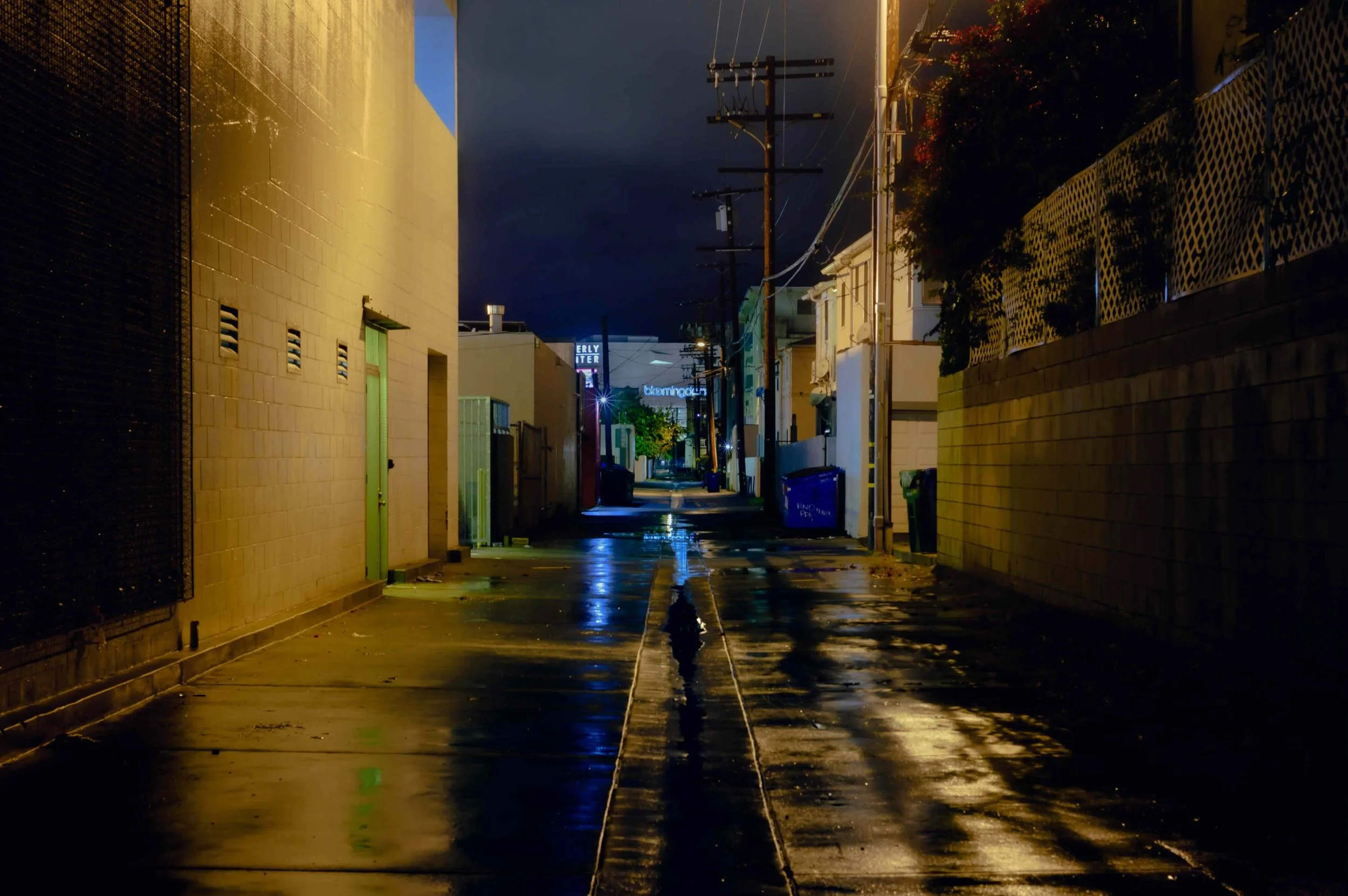 Gavin Haag Photography-NO ANGELS-12.jpeg