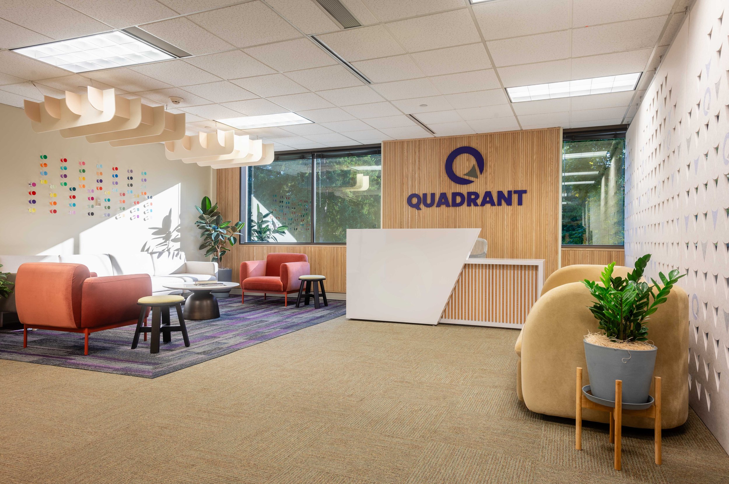 Seattle real estate photographer capturing modern office design for commercial interior designers