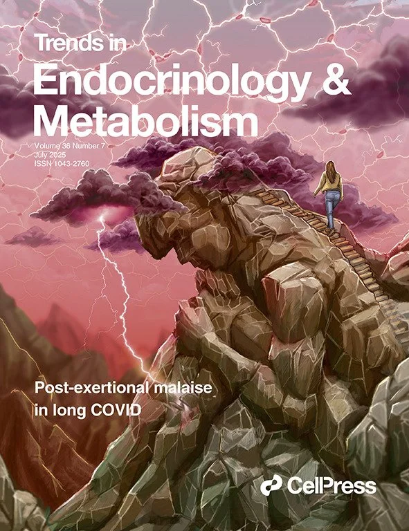 Rob Wust-DrawImpacts-Endocrinology Metabolism-cover.tif.jpg