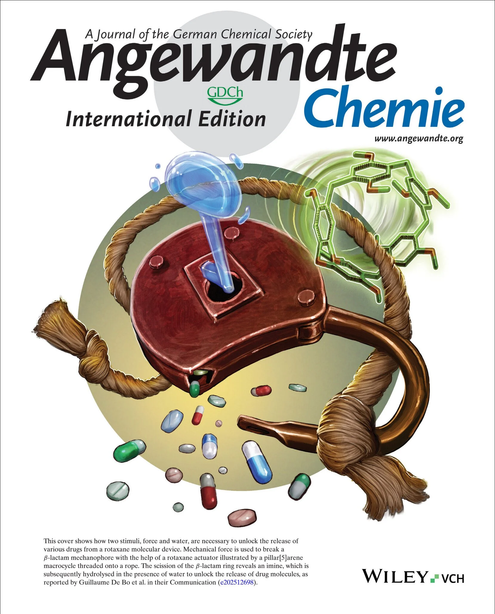 Guillaume de Bo_Angewandte chemie.jpg