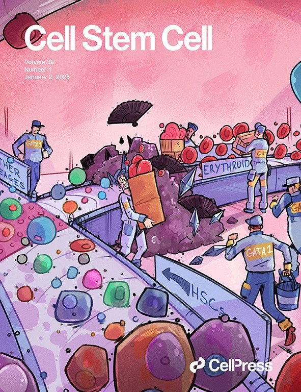 Richard Voir_DrawImpacts-Cell Stem Cell-cover.tif.jpg