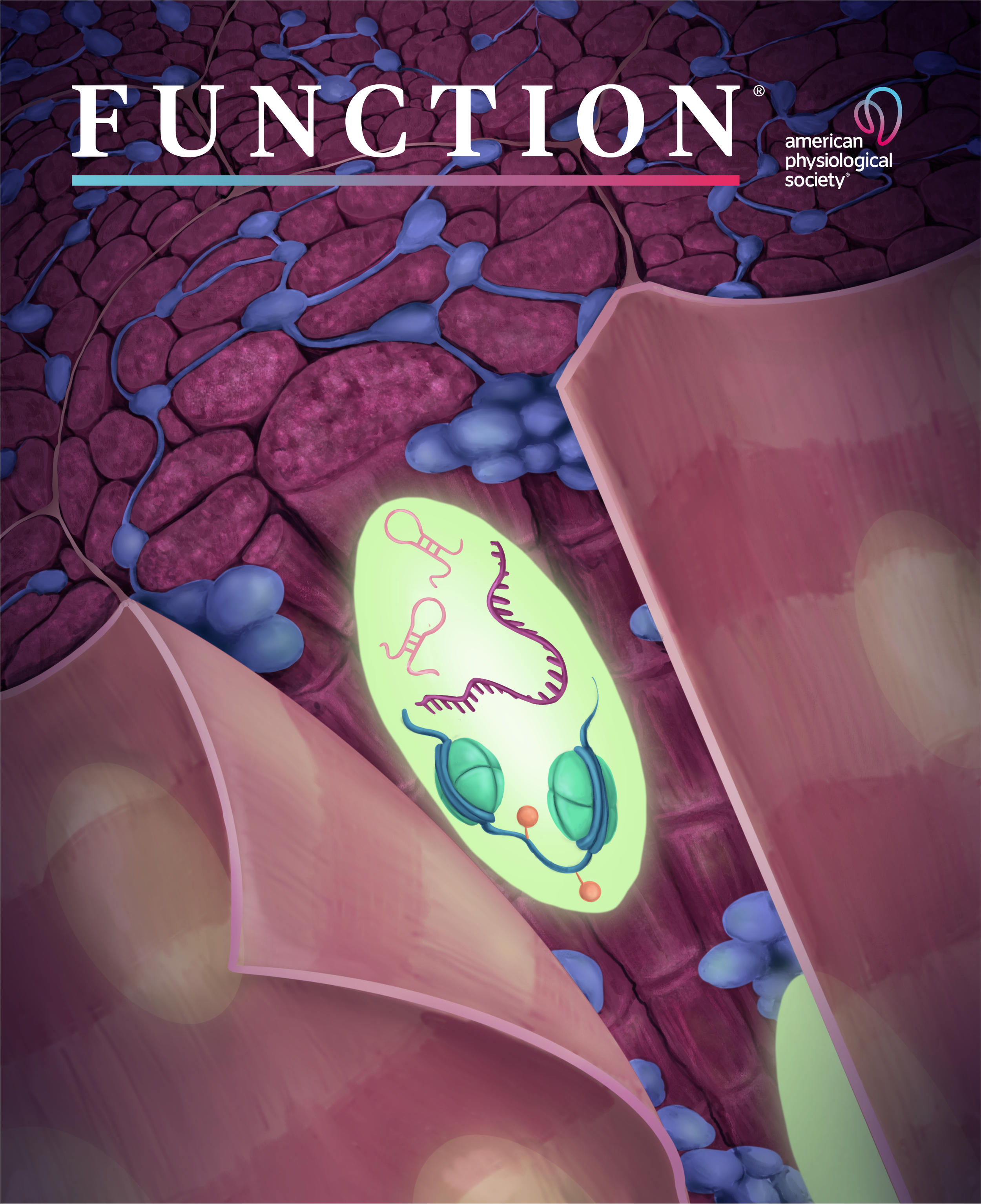 Kevin Murach_Illustration_DrawImpacts FUNCTION hi res.png