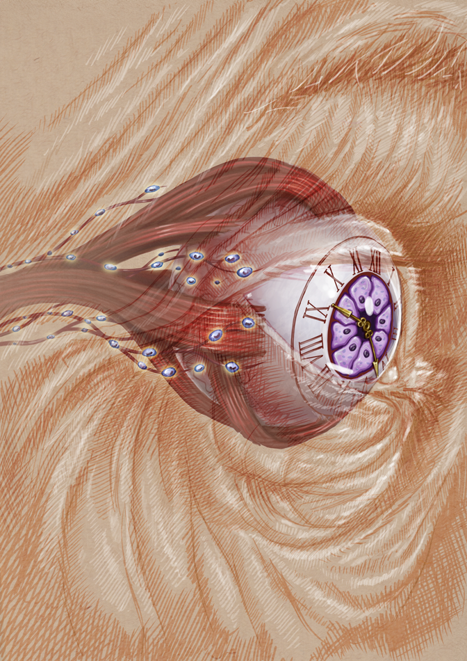 2-(for-web)_Joseph-Lin-and-Rajendra-Apte_Illustration-Eye-clock_DrawImpacts.png