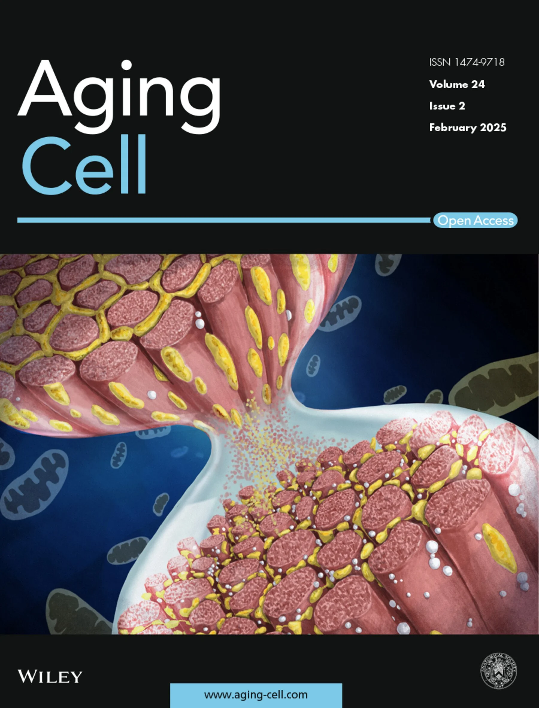 Rob Wust_DrawImpacst-aging cell-acel70017-toc-0001-m.jpg