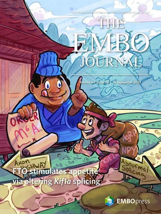 Daisuke Kohno EMBO_DrawImpacts.jpg