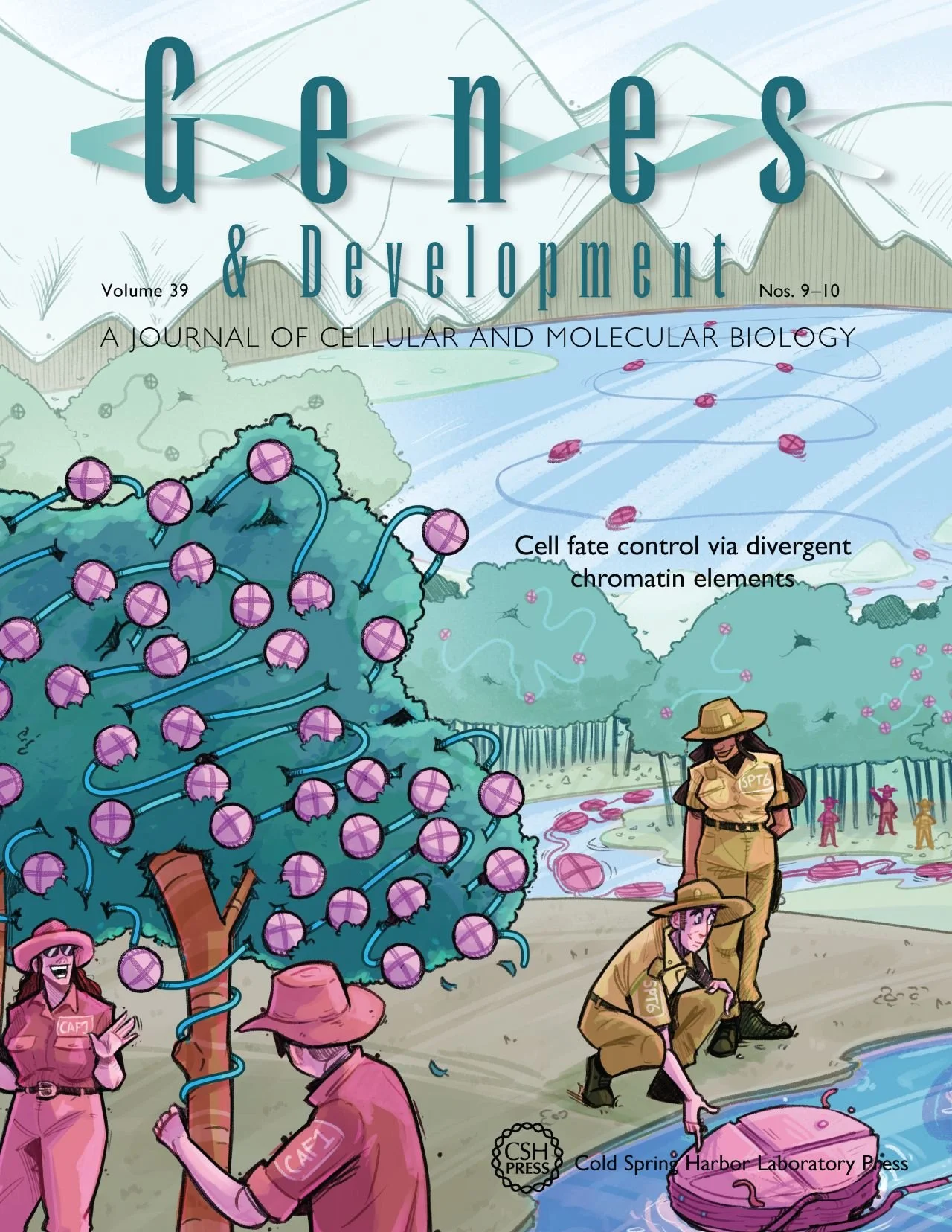 Sihem Cheloufi_DrawImpacts-Gene and Developement.JPG