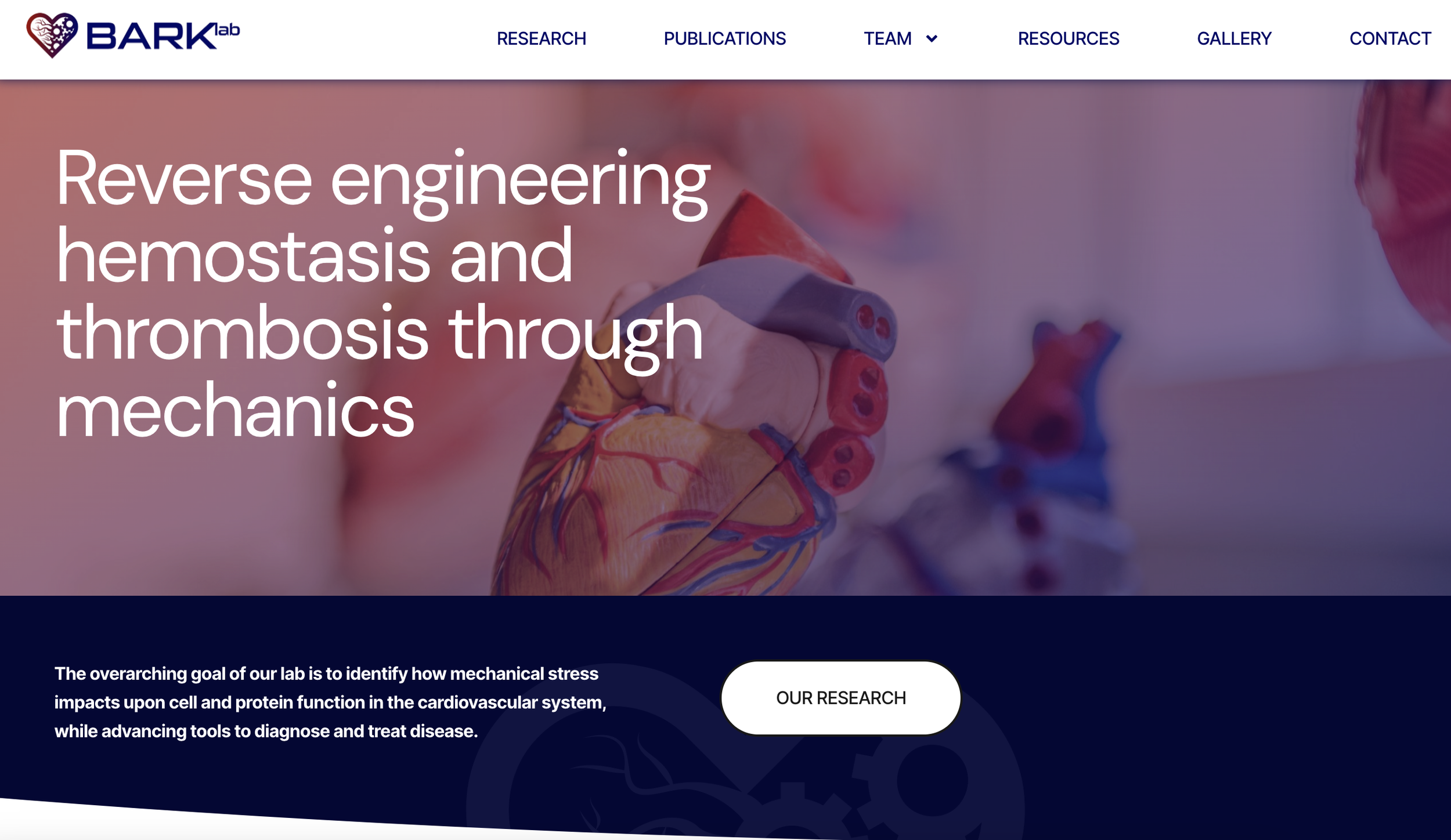 David Bark_DrawImpacts.png