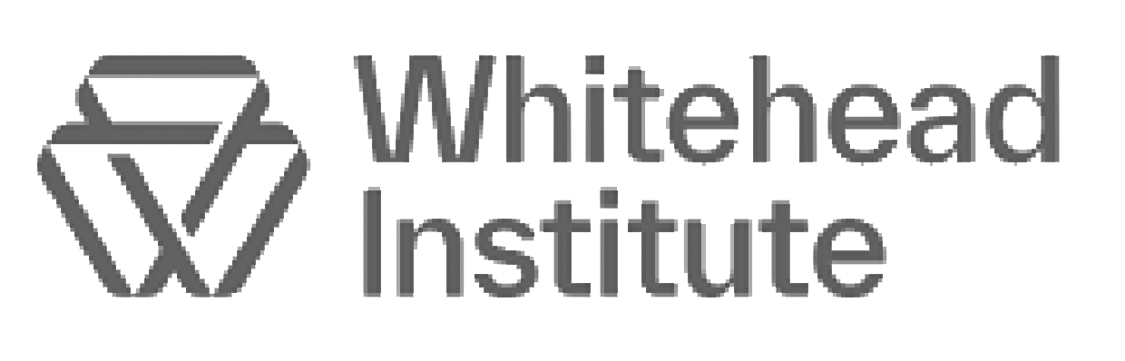 A pixelated, grayscale logo of YouTube with the word 'YouTube' in stylized text.