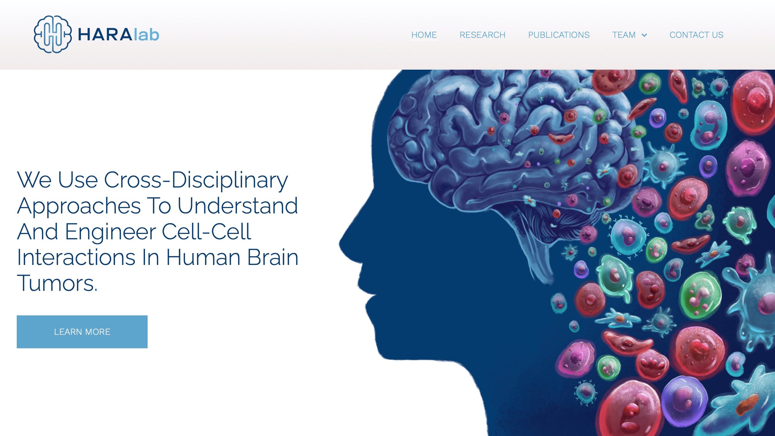 Hara lab website_designed by DrawImpacts.jpeg