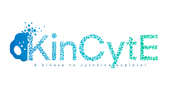 KinCytE_Logo_DrawImpacts_with slogan_569x205px.png