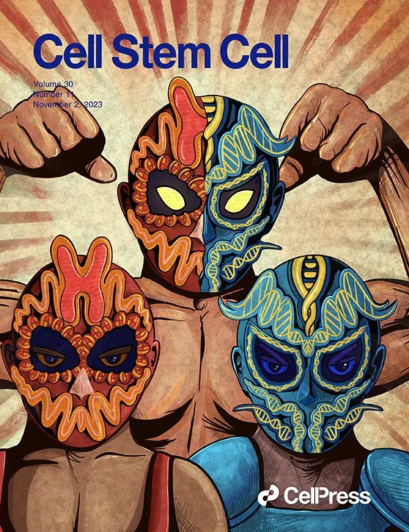 Cell Stem Cell_cover-art_DrawImpacts_Peggy Goodell.jpeg