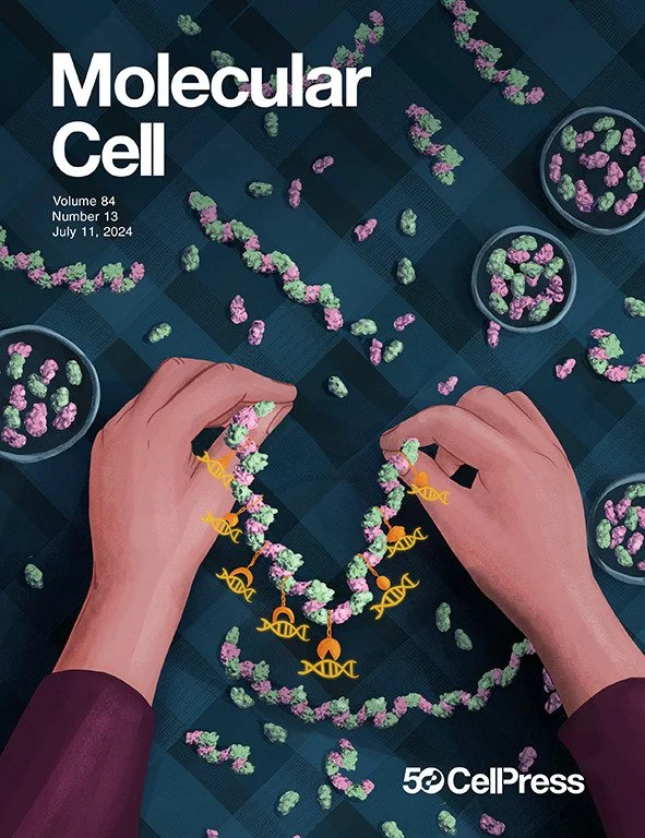 Paul Park_DrawImpacts-Molecular Cellcover.tif (12).jpg