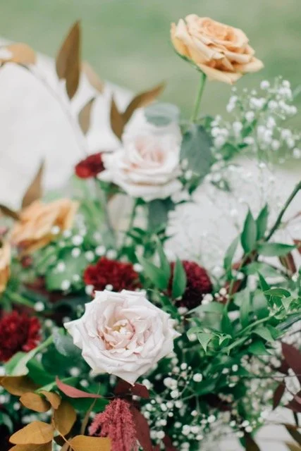 1Q1A7979 Medium.jpeg