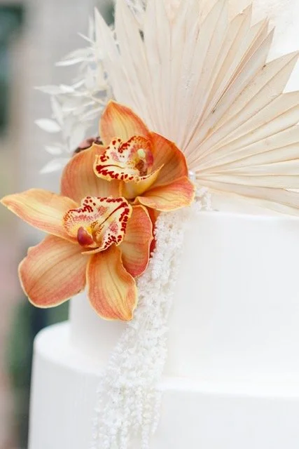 1Q1A6102 Medium.jpeg