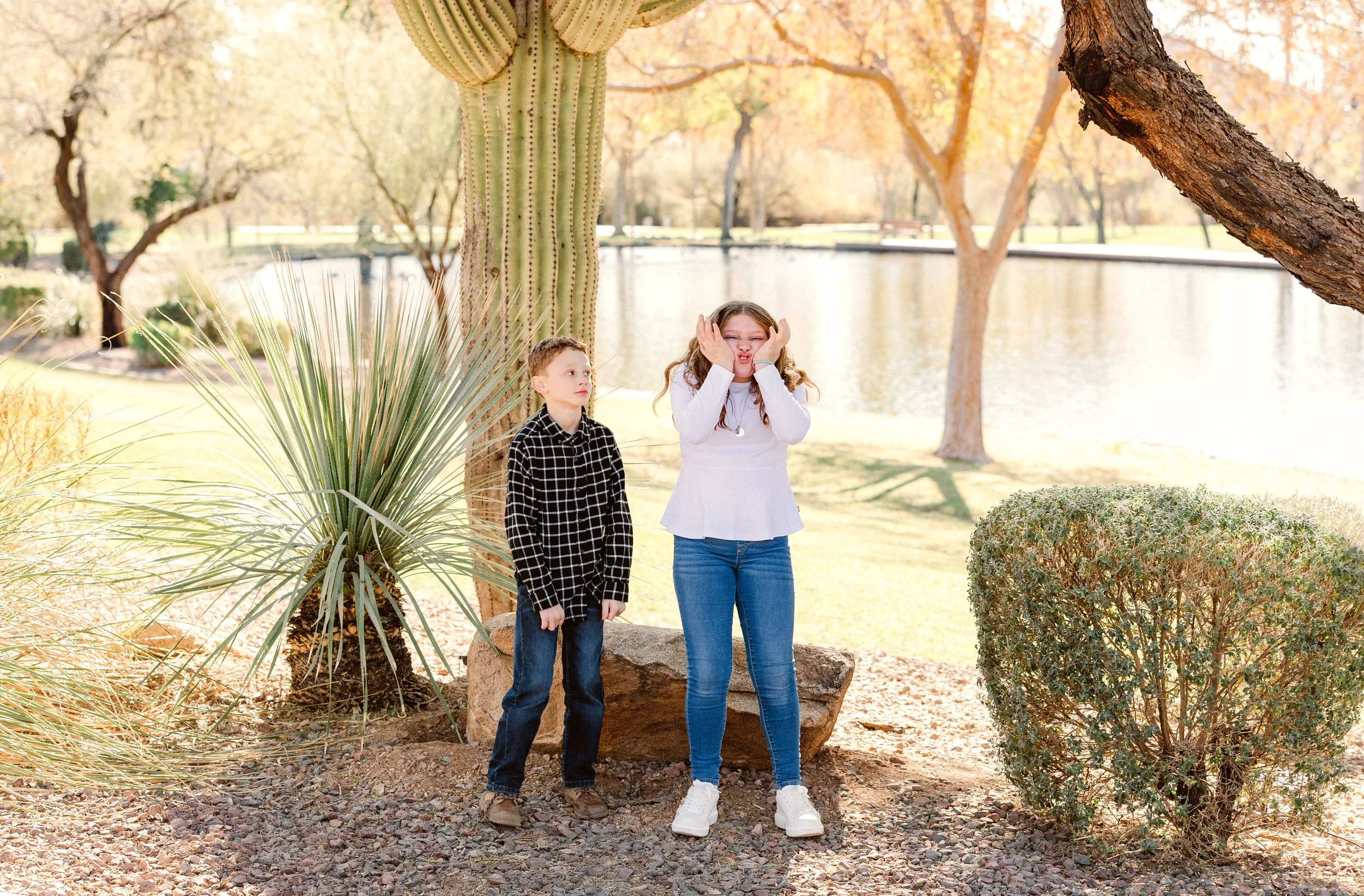 anthem-arizona-family-session-brother-and-sister.jpg