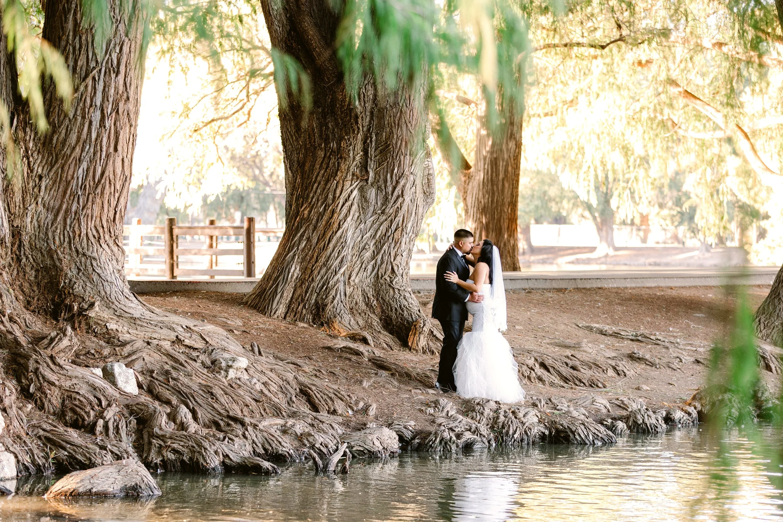 A bride and groom in wedding attire standing close to each other by a tree along a river, sharing a kiss during sunset.