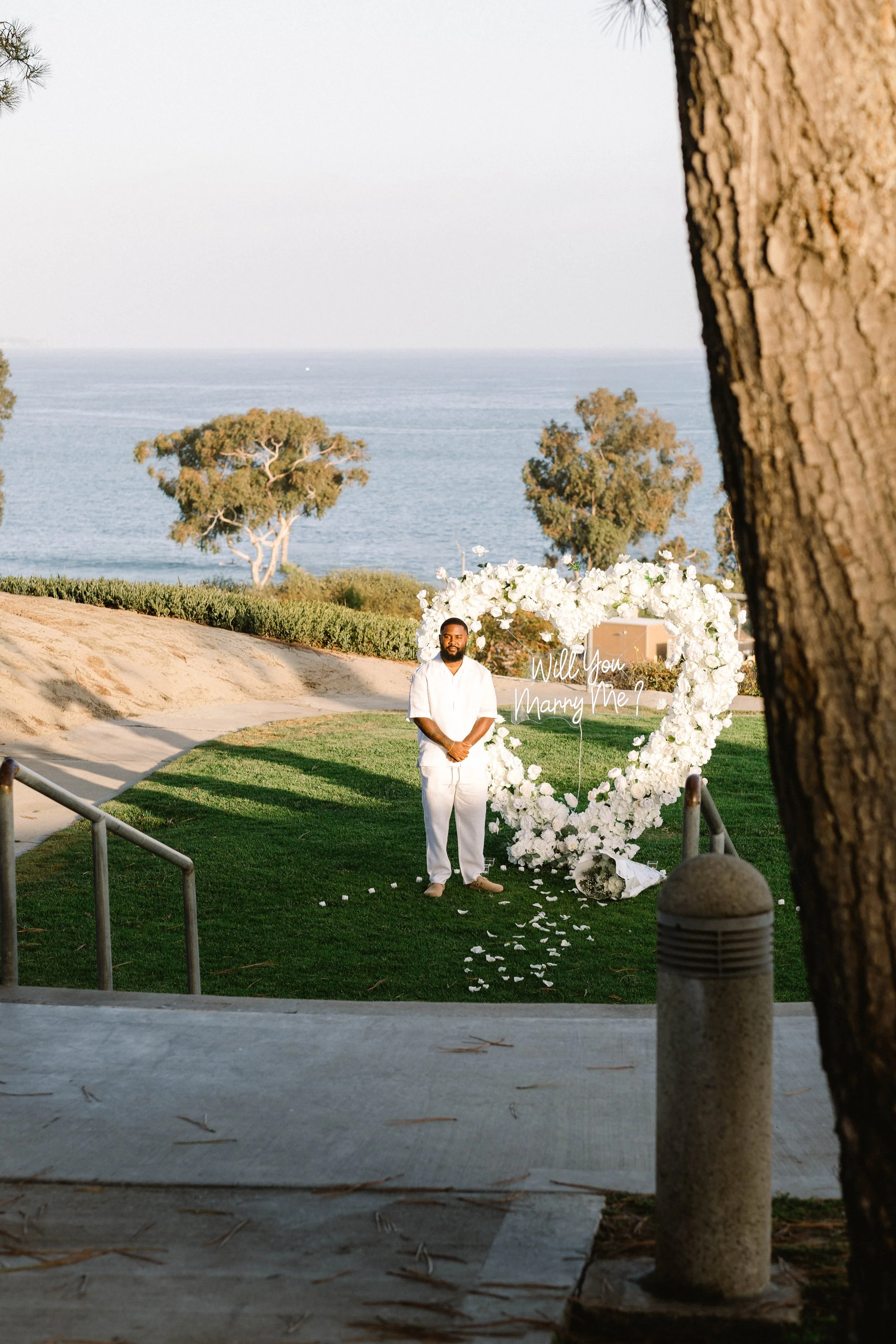 dana-point-surprise-proposal.jpg