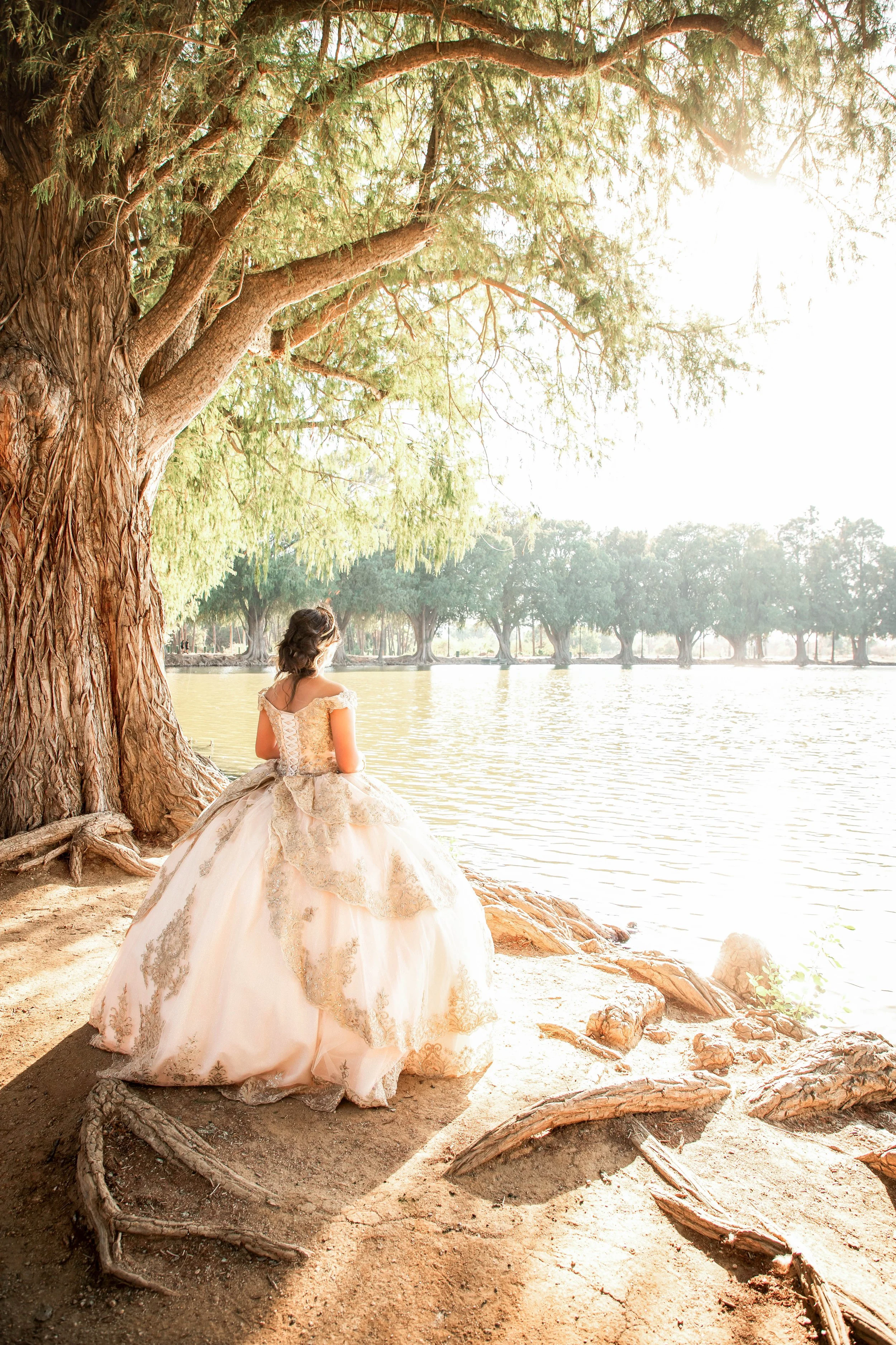 A woman in an elegant white gown with intricate lace details sits by a lakeside under a large tree, gazing at the water with a serene backdrop of more trees across the lake.