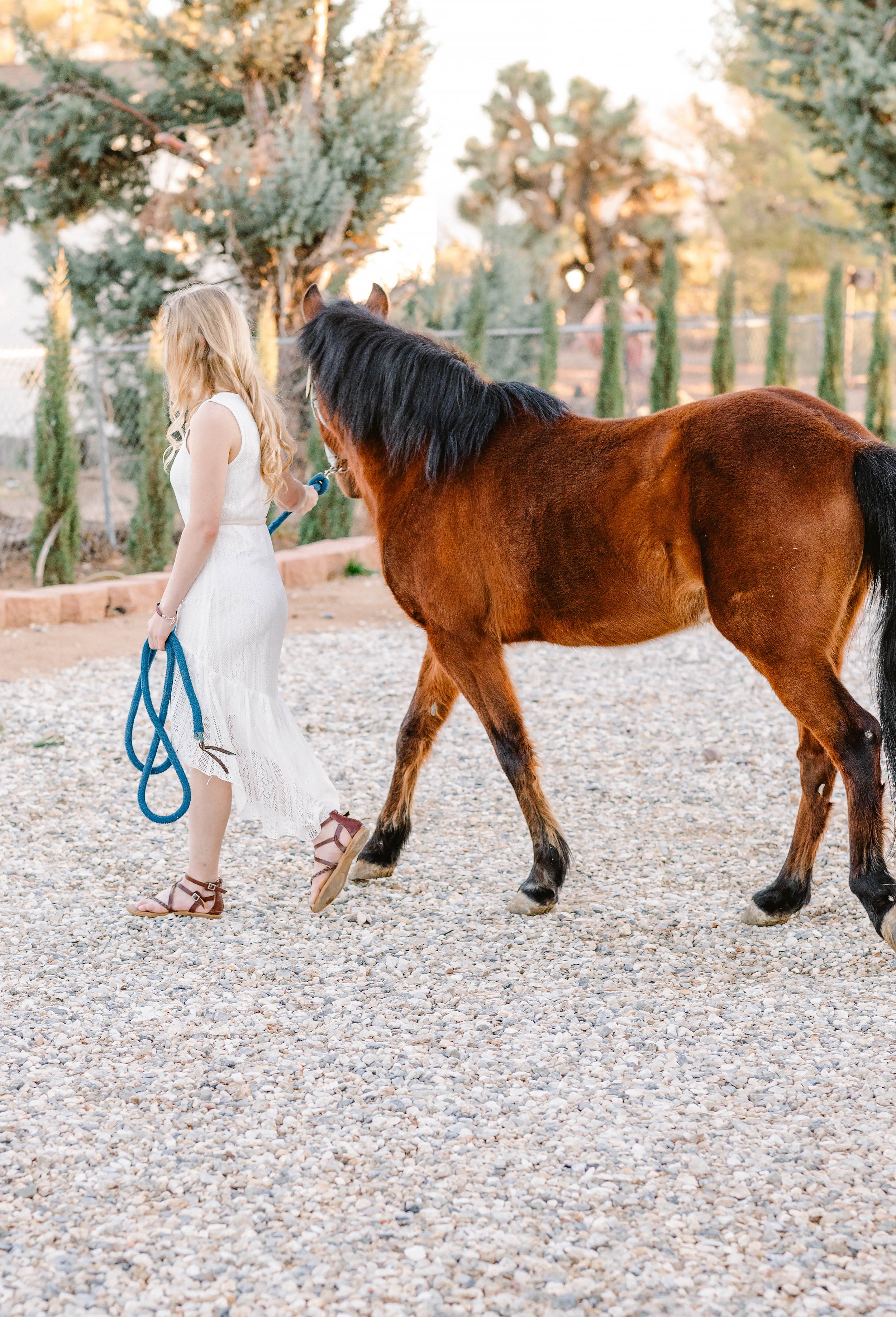 A girl with long blonde hair wearing a white dress and sandals walking a brown horse on a gravel surface in an outdoor setting with trees and a fence in the background.